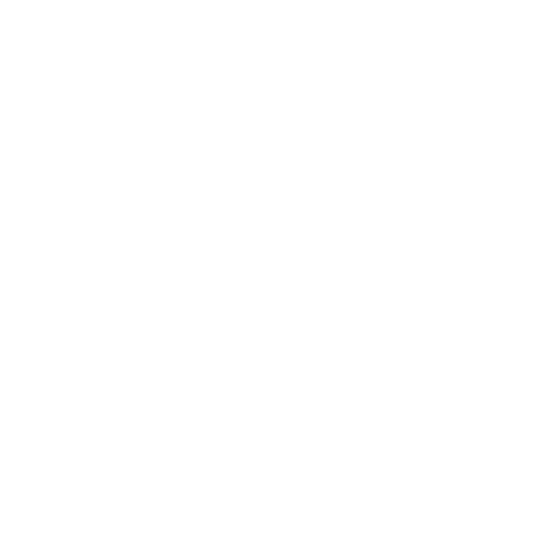 Fénixpuntonet Logo